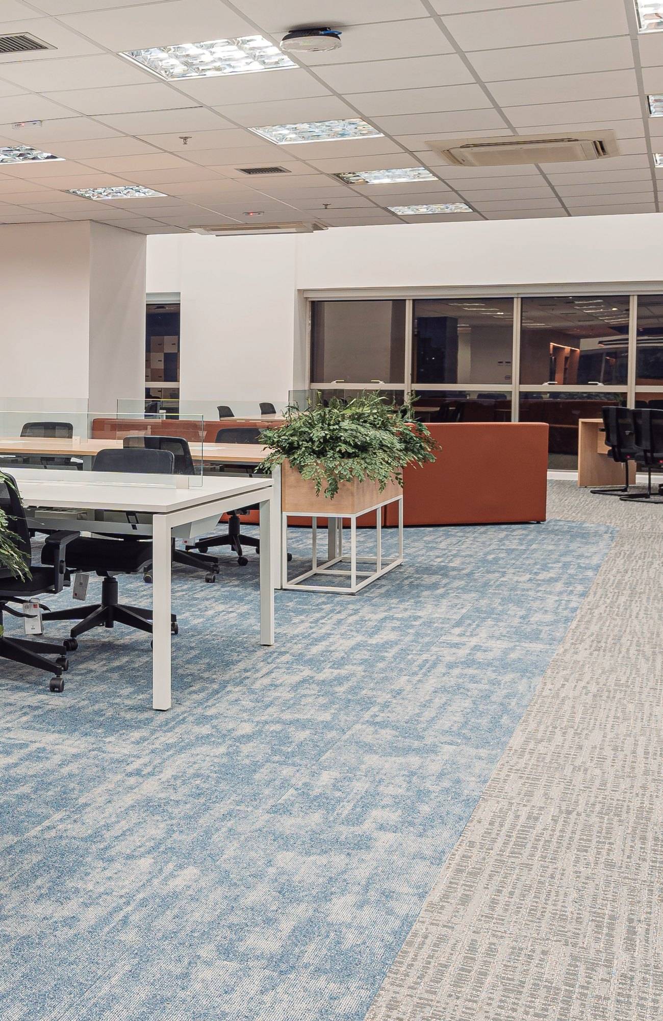 Open office com Explore Frontier 203 e faixa em 3 Tonos Cinza Claro